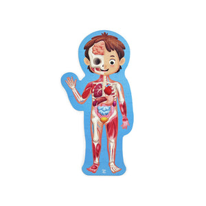 Hape Human Body Puzzle